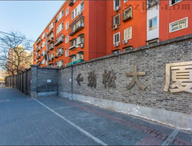 劲松大厦业主类型:不明                    )地 址:北京市朝阳区农光